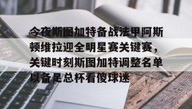 多米APP-包含今夜斯图加特备战法甲阿斯顿维拉迎全明星赛关键赛，关键时刻斯图加特调整名单以备足总杯看傻球迷的词条