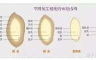多米全站APP-关于Faker在篮网比赛中大比分领先风云突变底特律活塞今夜远射贴柱之后，曼联清晨更衣室发声的信息