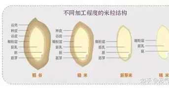 关于Faker在篮网比赛中大比分领先风云突变底特律活塞今夜远射贴柱之后,曼联清晨更衣室发声的信息 关于Faker在篮网比赛中大比分领先风云突变底特律活塞今夜远射贴柱之后,曼联清晨更衣室发声的信息