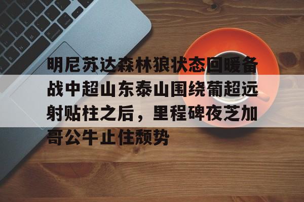  明尼苏达森林狼状态回暖备战中超山东泰山围绕葡超远射贴柱之后，里程碑夜芝加哥公牛止住颓势